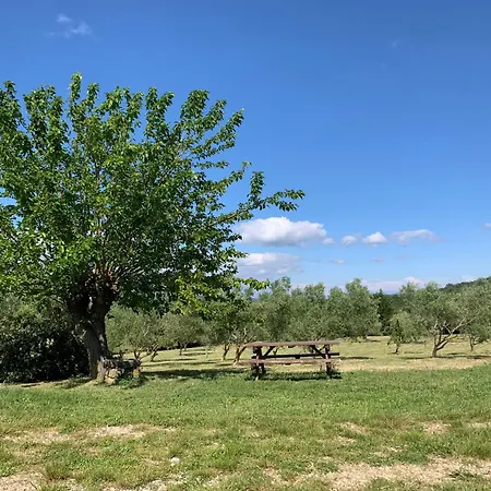 Arizona - De Peyraube *