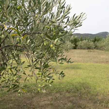 Hébergement de vacances Arizona - De Peyraube